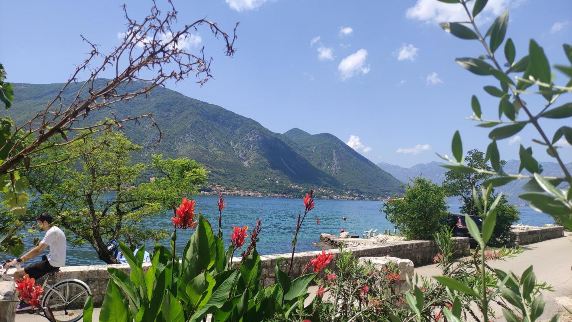 Kadena Apartments Kotor Kültér fotó
