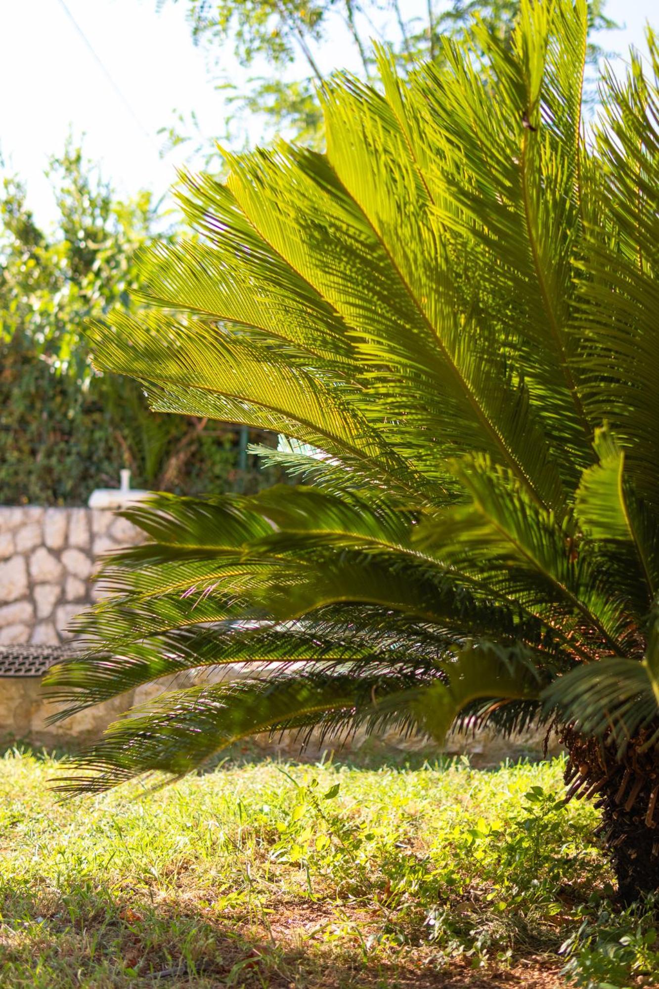 Kadena Apartments Kotor Kültér fotó